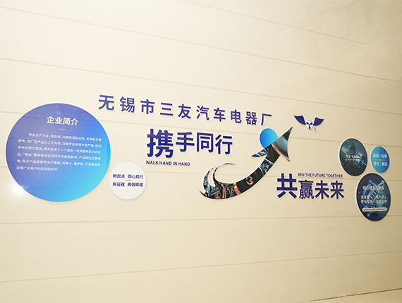 Monarcha Auto Leictreach Wuxi Sanyou