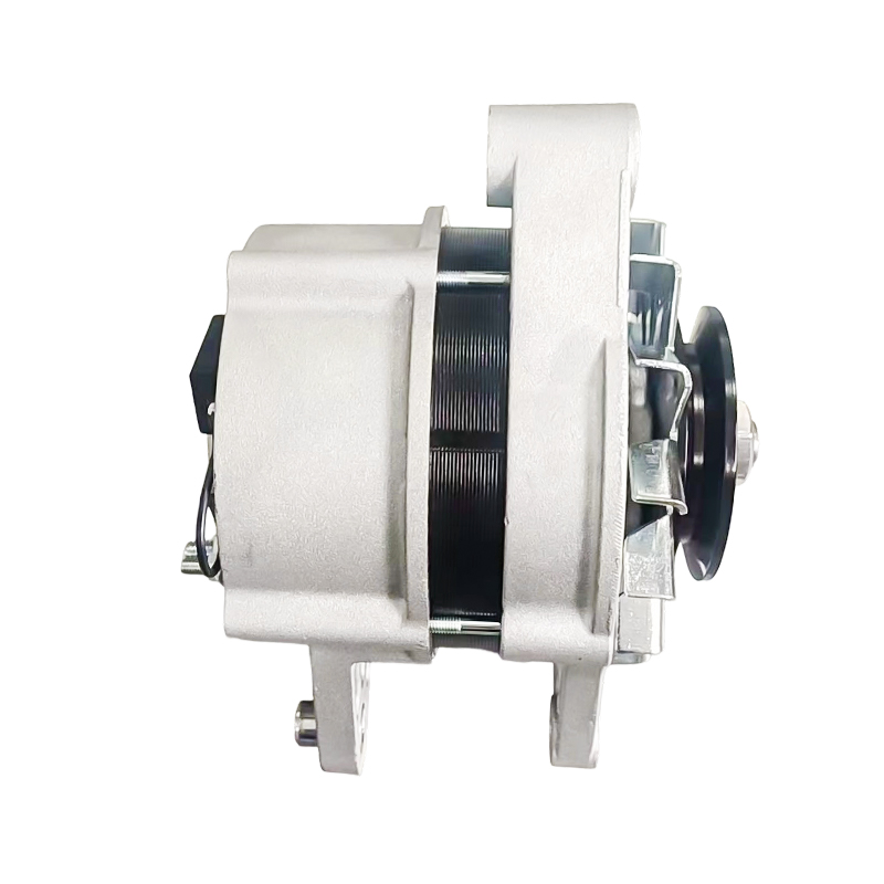 MG791 AAK4653 IA1616 11204629 72442837 AAK4653 12V 120A 8PK62mm Malartach ISKRA / LETRIKA